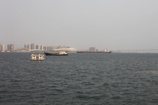 湛江海上船只与远处城市景观