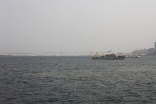 湛江海上船只景象