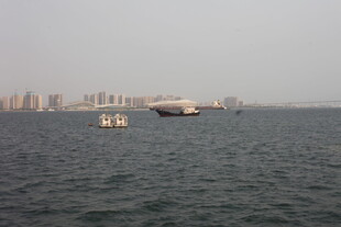 湛江海上船只与远处城市景观