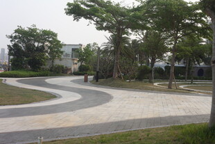 湛江城市公园中的蜿蜒步道