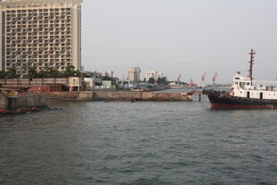 湛江港口景象 船只与高楼