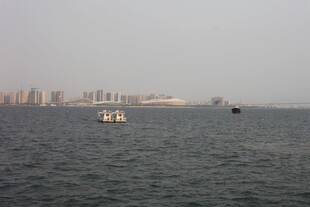 湛江海上船只与远处城市景观