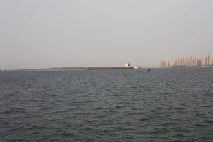 湛江海上船只与远处城市景观