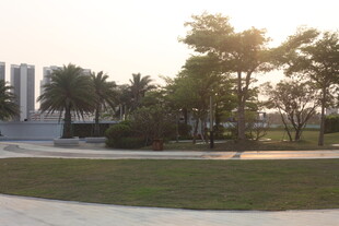 湛江黄昏下的公园景致