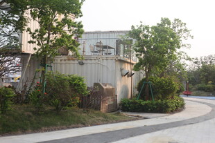 湛江园区路边景致