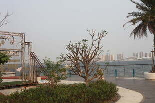 湛江海滨公园景观一角