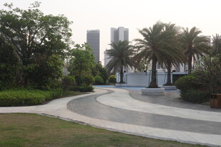 城市中的静谧园林景观