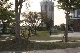 城市中的绿化景观与建筑