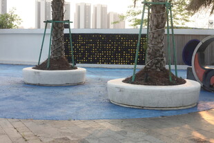 湛江户外圆形树池景观设计