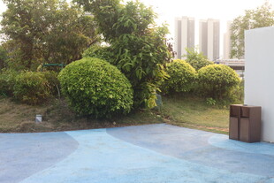 湛江户外庭院中的蓝色地面景观