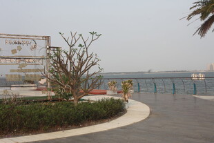 湛江海滨景观处的绿植与设施