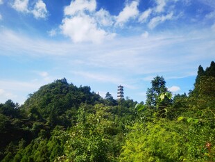 青山绿树间的巍峨高塔