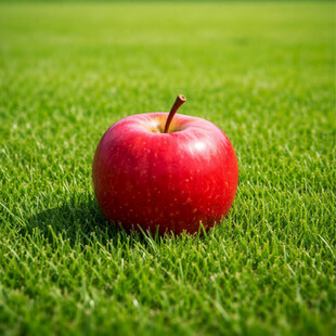 草地上的红苹果