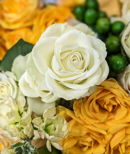 多彩玫瑰花卉精美组合