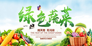 绿色蔬菜海报