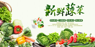 新鲜蔬菜