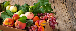 木桌上多彩新鲜的果蔬