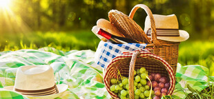 户外野餐场景中的美食与用品