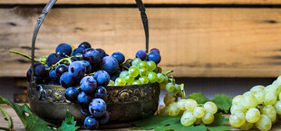 篮子里的多彩葡萄