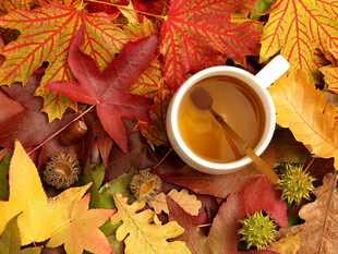 秋日落叶中的温暖咖啡杯