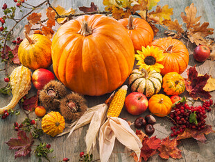 秋季南瓜丰收装饰场景