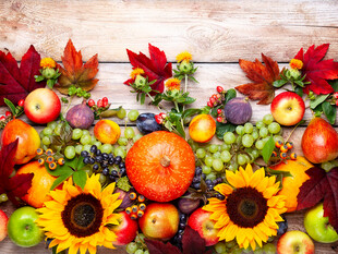 秋日缤纷水果花卉组合