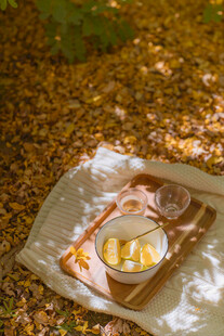 户外野餐的休闲美食场景