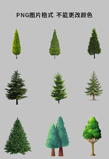松树素材