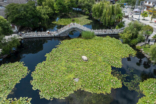 亚洲中国云南大理喜洲古镇风光