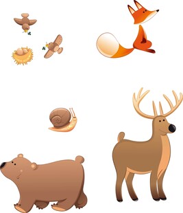 森林动物集合