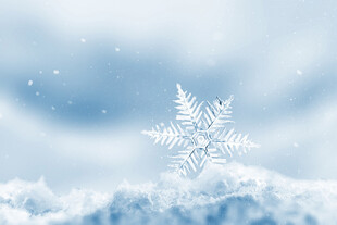 梦幻雪花于云端绽放