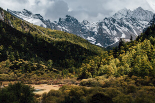 壮丽山林间的巍峨雪山