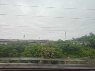 车窗外的绿意风景