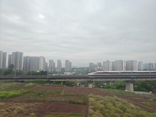 城市近郊田野与高楼景观