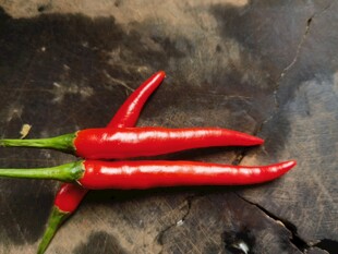 鲜红尖椒
