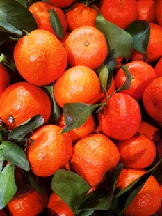 新鲜饱满的砂糖橘