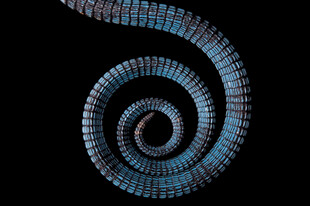 螺旋状蓝色结构图案