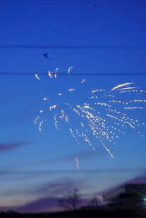 绚丽烟花夜空绽放