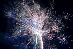 绚丽烟花夜空绽放