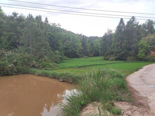 乡村田野间的泥泞小路