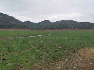 广袤绿野与远山风景