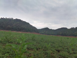 广袤田野与远山景色