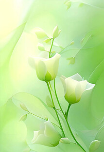 清新绿背景下的素雅白花