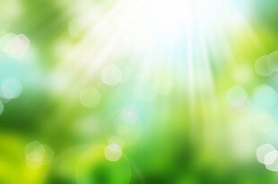 阳光洒落的清新绿色背景