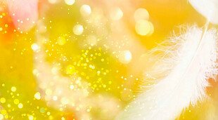 梦幻光斑与轻柔羽毛