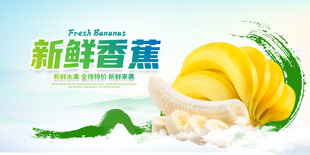 香蕉海报