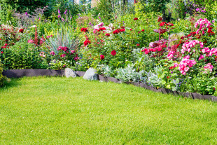 美丽花园中的翠绿草坪