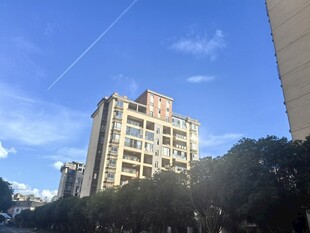 城市中高层住宅与绿树景观