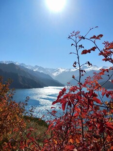 湖畔红叶美景