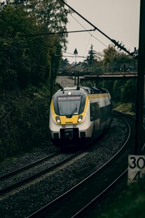 高速列车穿行于林间轨道